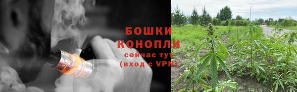 крисы Щучье