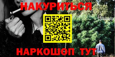 крисы Аргун