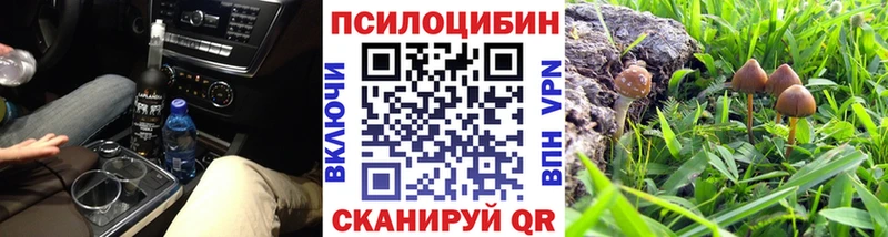 Псилоцибиновые грибы Cubensis  Белгород 