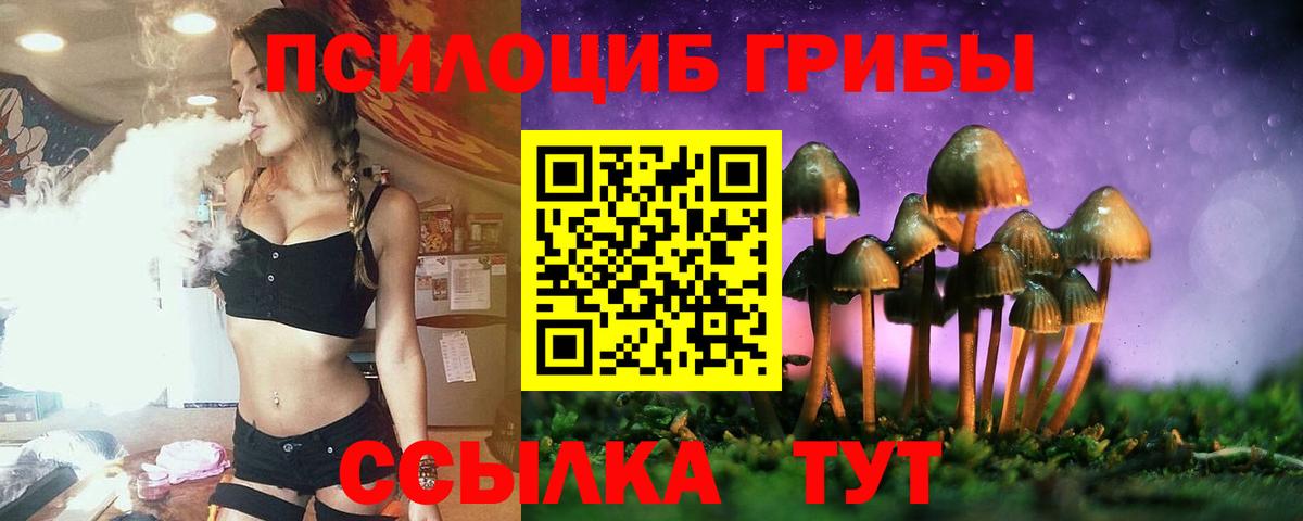 Белгород  Галлюциногенные грибы Psilocybe  Галлюциногенные грибы Magic Shrooms  Вход с VPN 